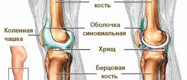 Как бороться с жидкостью в коленных суставах, почему в коленях появляется лишняя жидкость, как избавиться от жидкости в суставах: медикаментозные методы и рецепты народной медицины